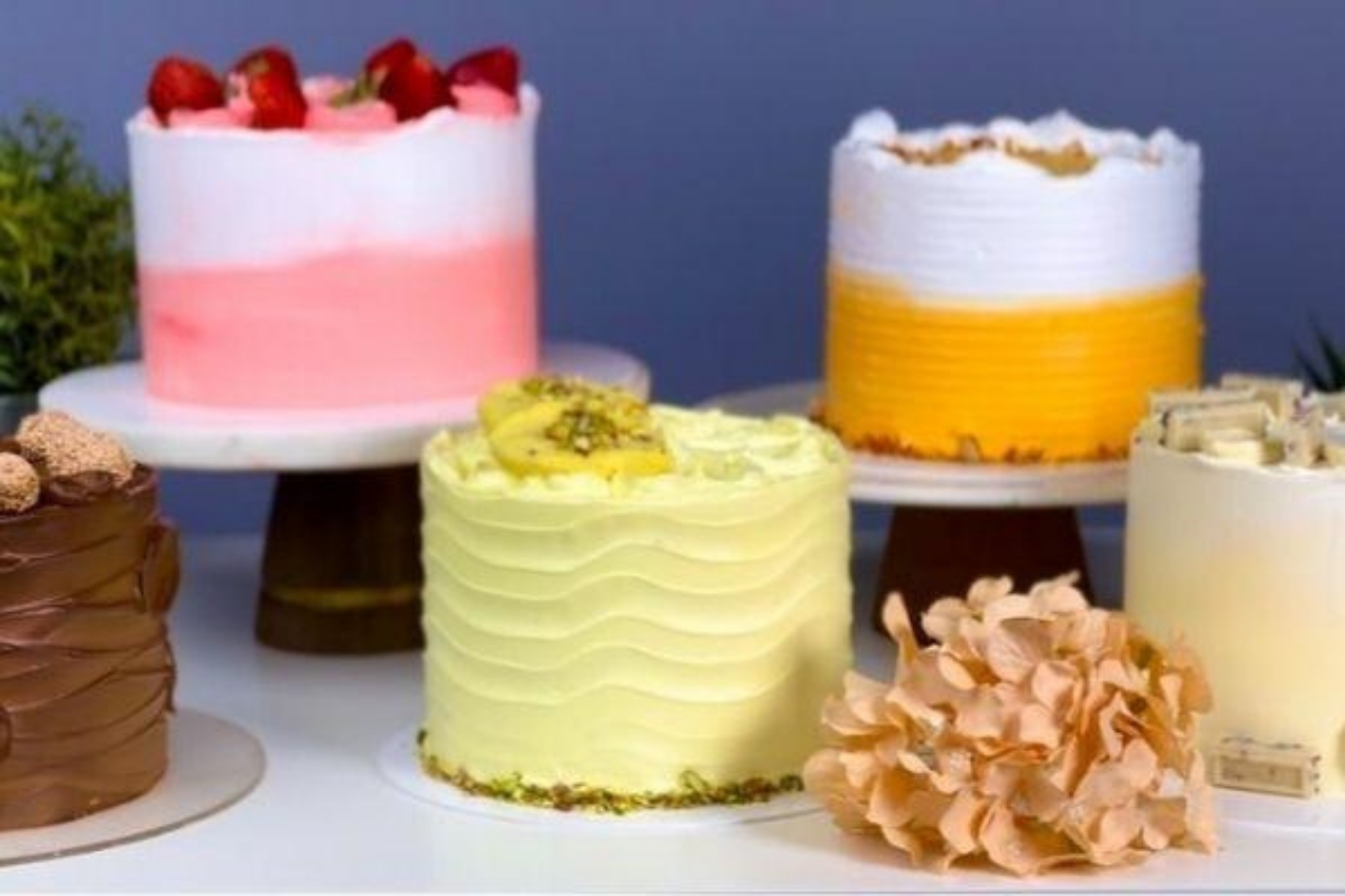 Eggbased Master Sponges for Whipped Cream Artists Online Course