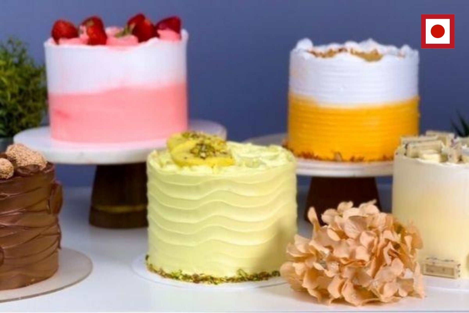 Eggbased Master Sponges for Whipped Cream Artists Online Course